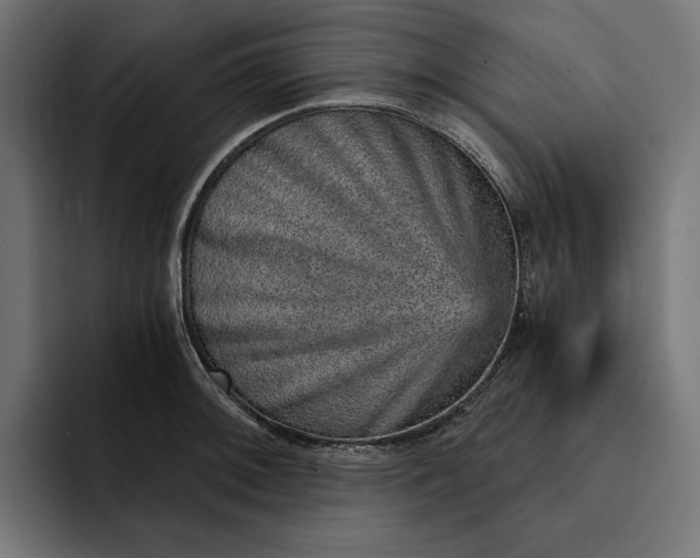 X0000093121092200710101036