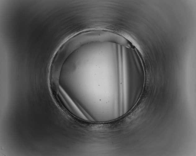 X0000093121093200710101036