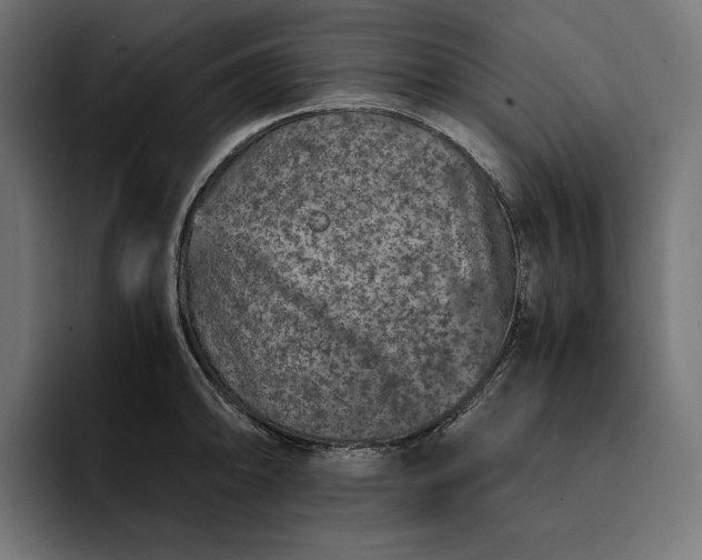 X0000093121094200710101036