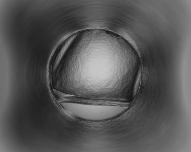 X0000093121096200710101036