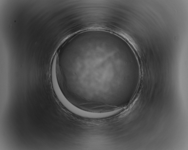 X0000093121097200710101036