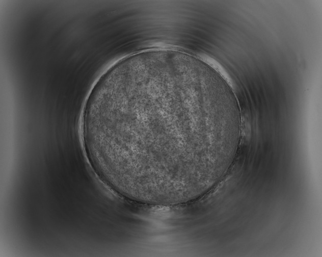 X0000093121098200710101036