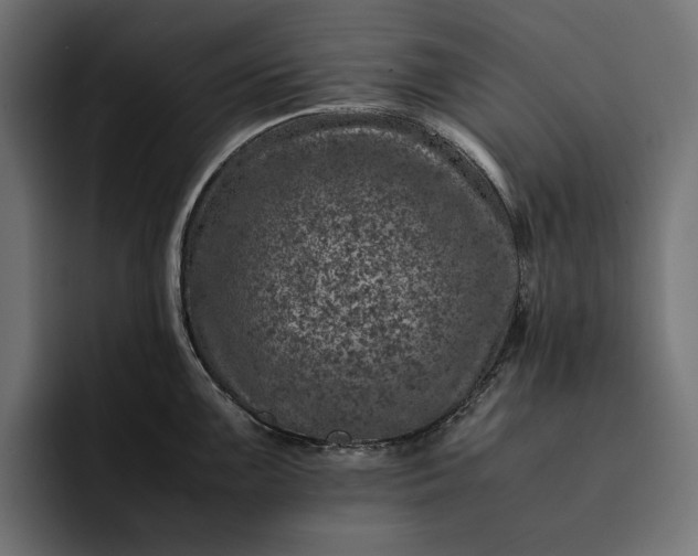 X0000093121099200710101036