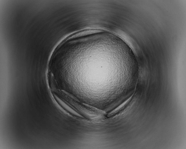 X0000093121100200710101035