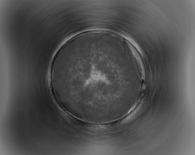 X0000093121101200710101035