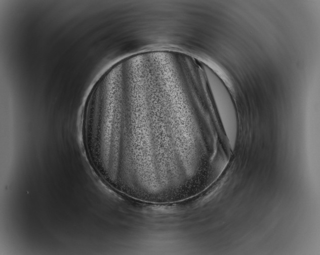 X0000093121102200710101035