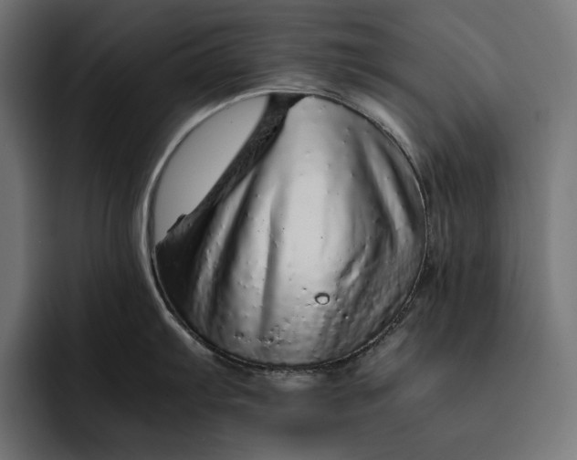 X0000093121103200710101035