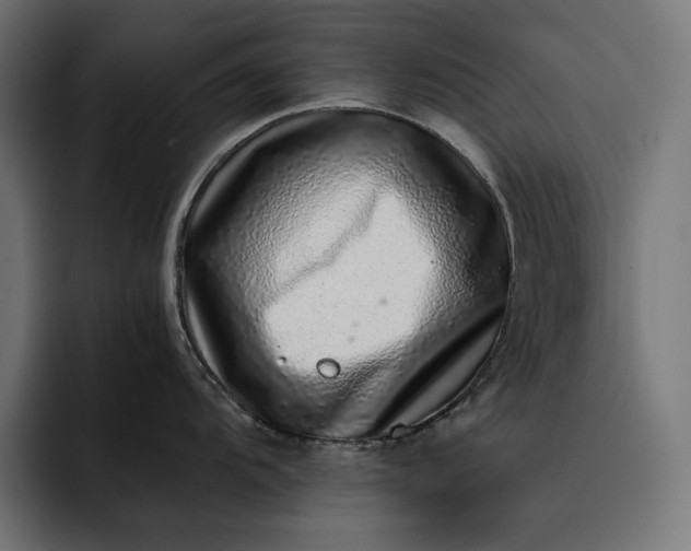 X0000093121104200710101035