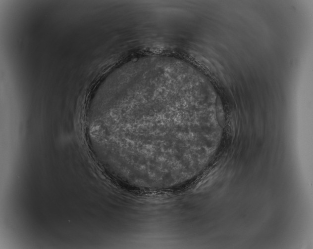 X0000093121105200710101035