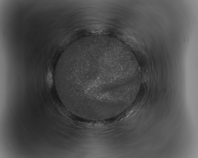 X0000093121106200710101035