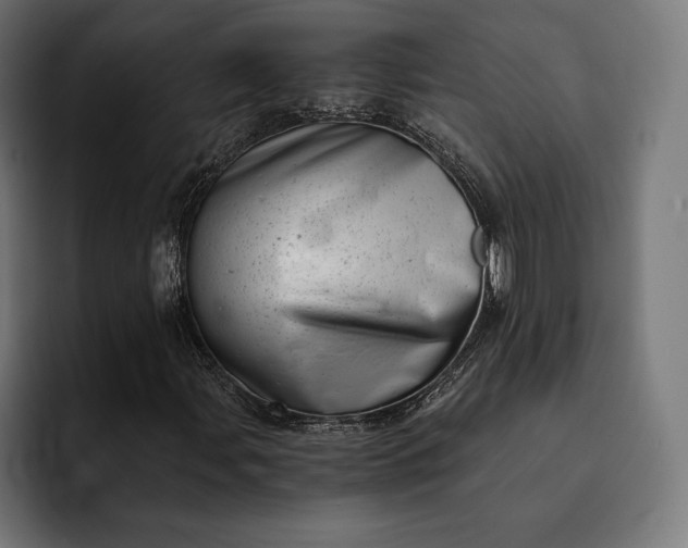 X0000093121107200710101035