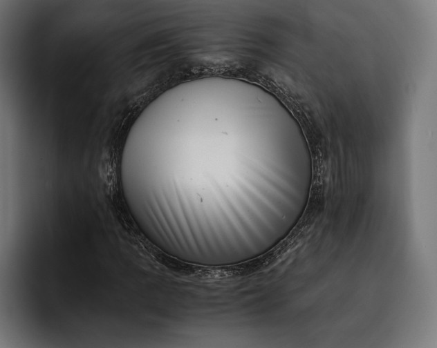 X0000093121109200710101035