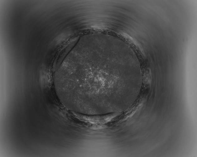 X0000093121110200710101035