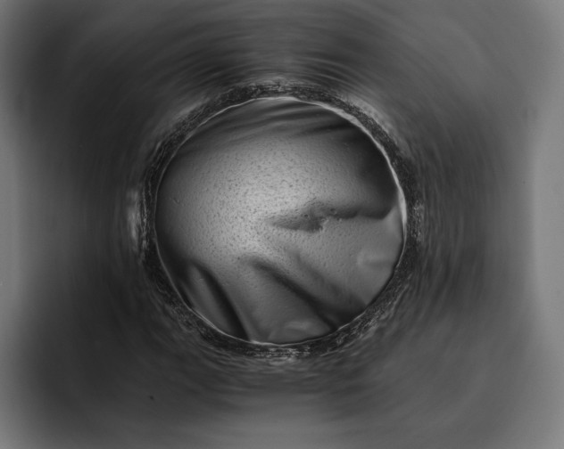 X0000093121111200710101035