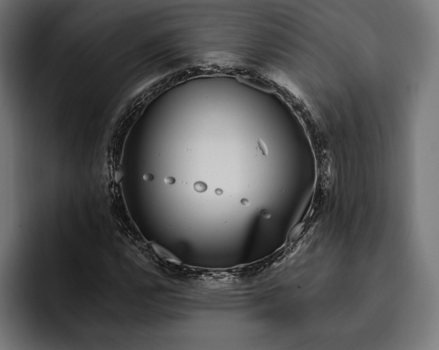 X0000093121112200710101035