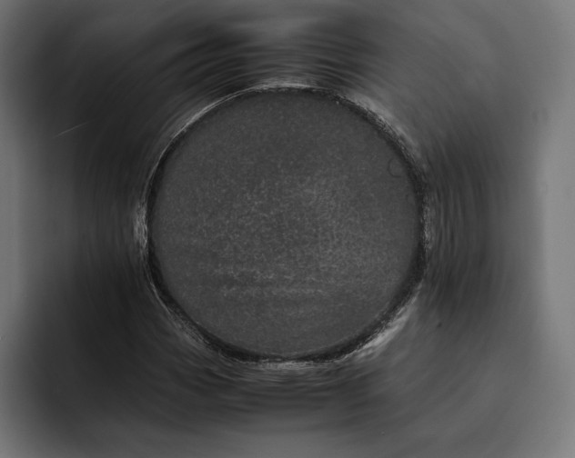 X0000093121113200710101035