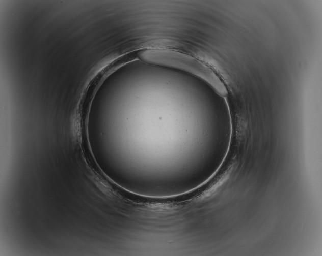 X0000093121114200710101035