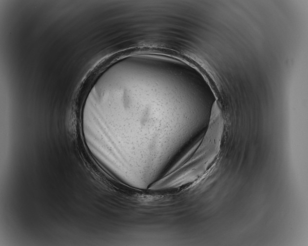 X0000093121115200710101035