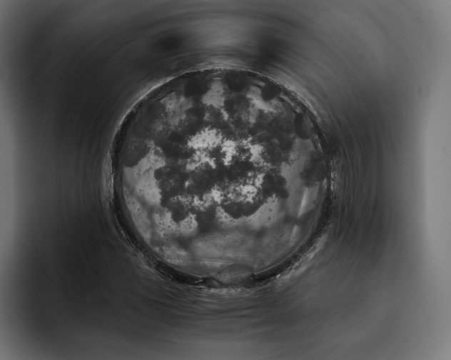 X0000093121117200710101035