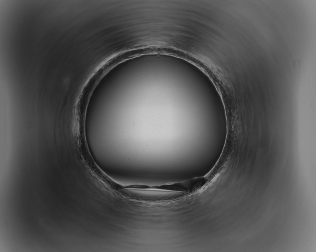 X0000093121118200710101035