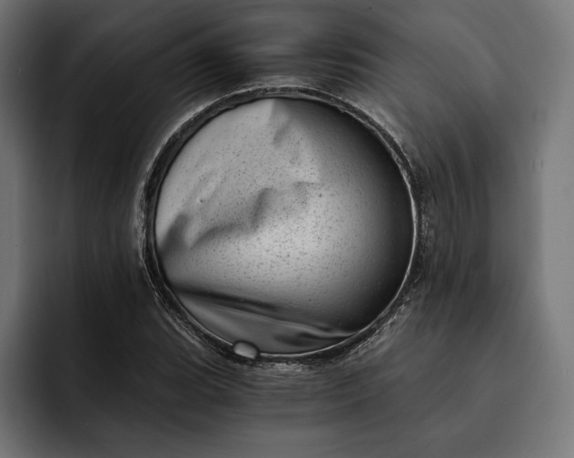 X0000093121119200710101035