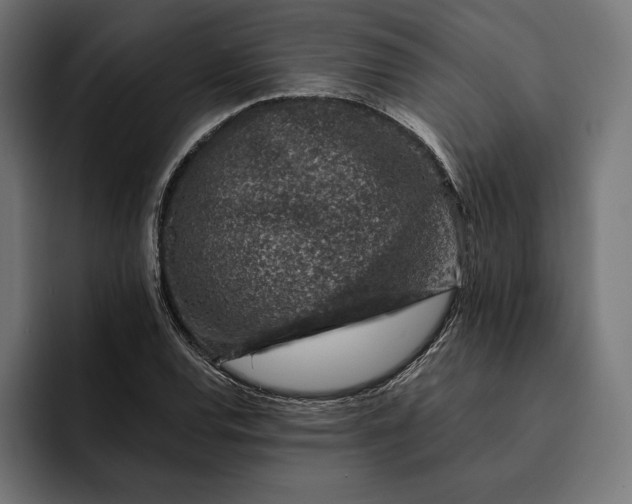 X0000093121120200710101035