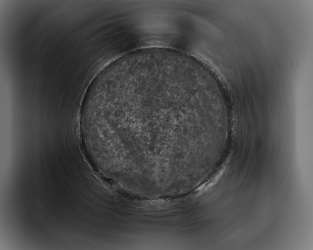 X0000093121121200710101035