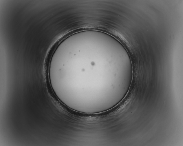 X0000093121122200710101035