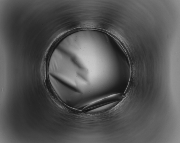 X0000093121123200710101035