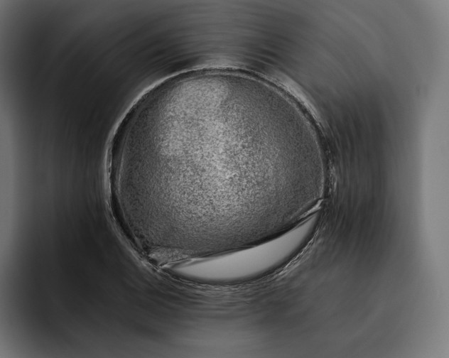 X0000093121124200710101035