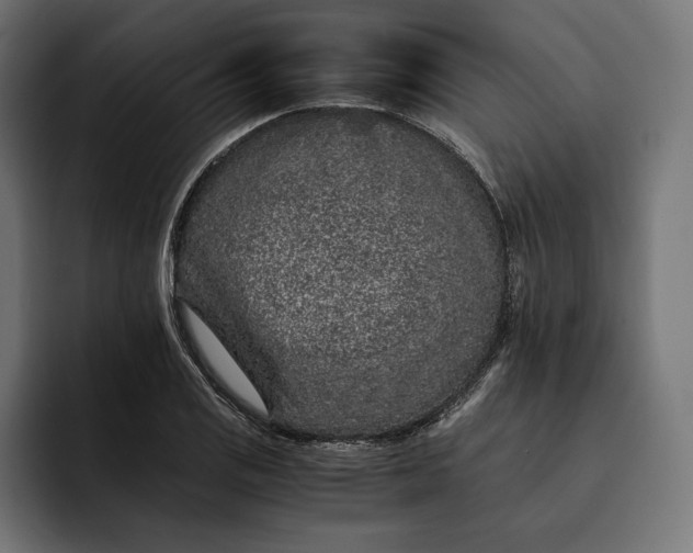 X0000093121125200710101035