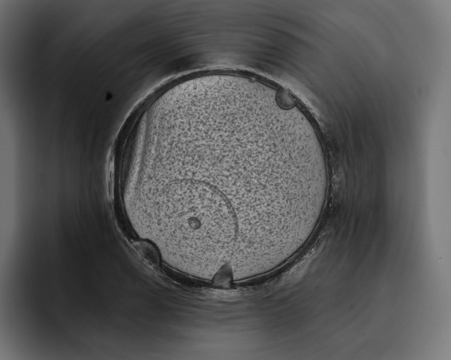 X0000093121126200710101035