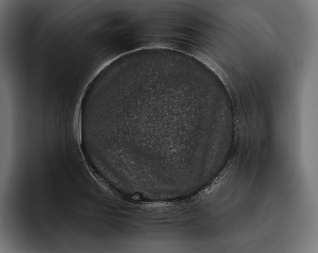 X0000093121127200710101035