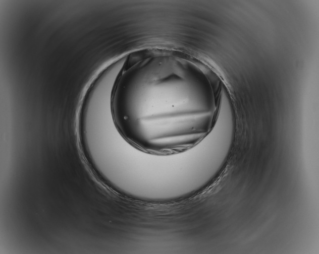 X0000093121128200710101035