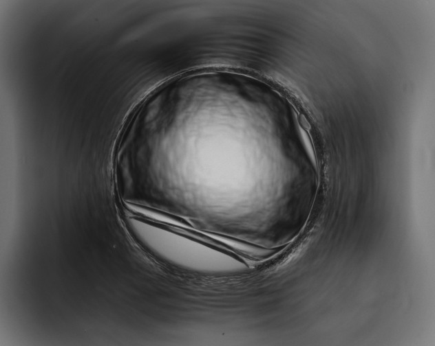 X0000093121129200710101035