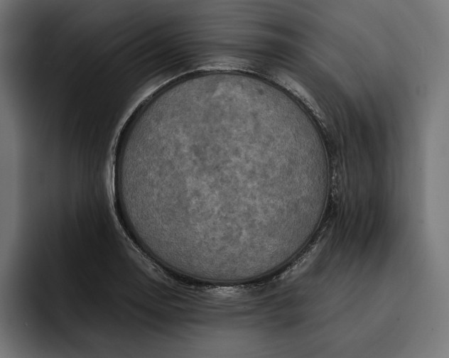 X0000093121130200710101035