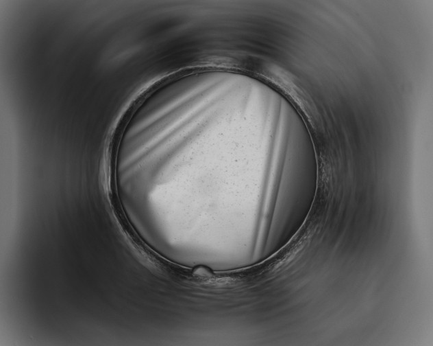 X0000093121131200710101035