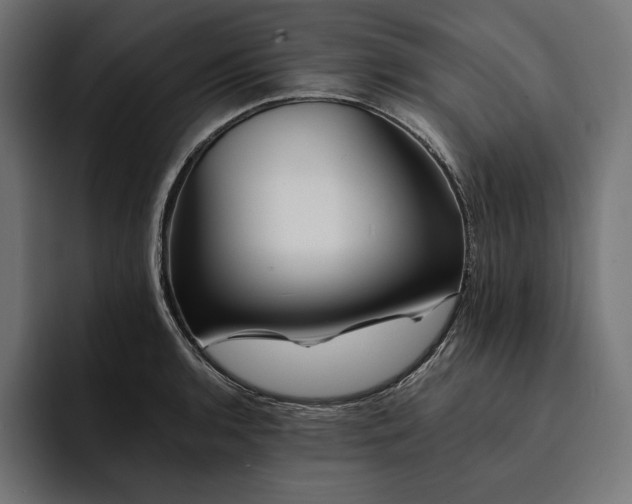 X0000093121136200710101035