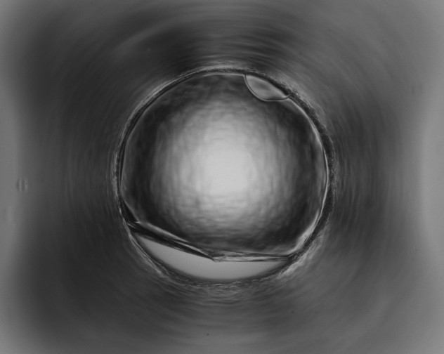 X0000093121137200710101035