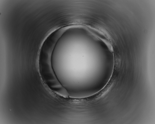 X0000093121138200710101035