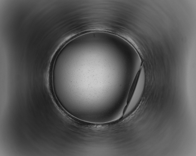 X0000093121139200710101035