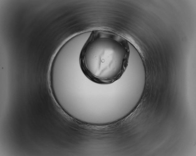 X0000093121140200710101035