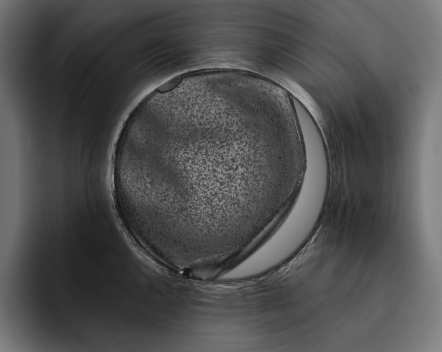 X0000093121144200710101035