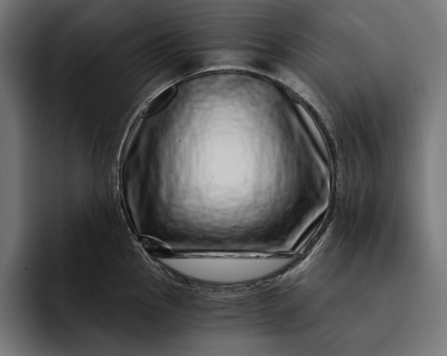 X0000093121145200710101035