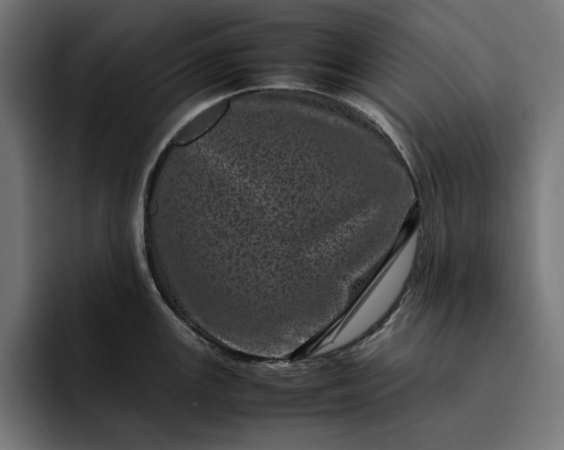 X0000093121147200710101035