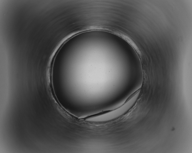 X0000093121148200710101035