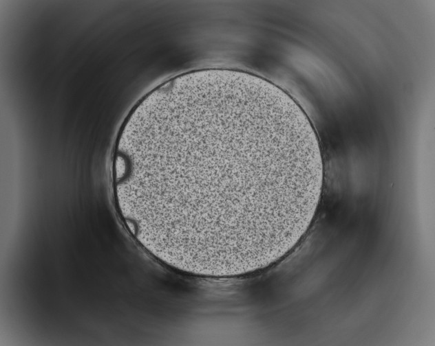 X0000093121150200710101035