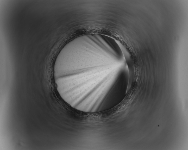 X0000093121153200710101035