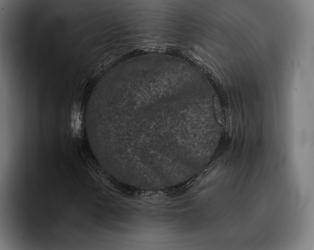 X0000093121154200710101035