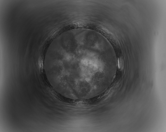 X0000093121155200710101035